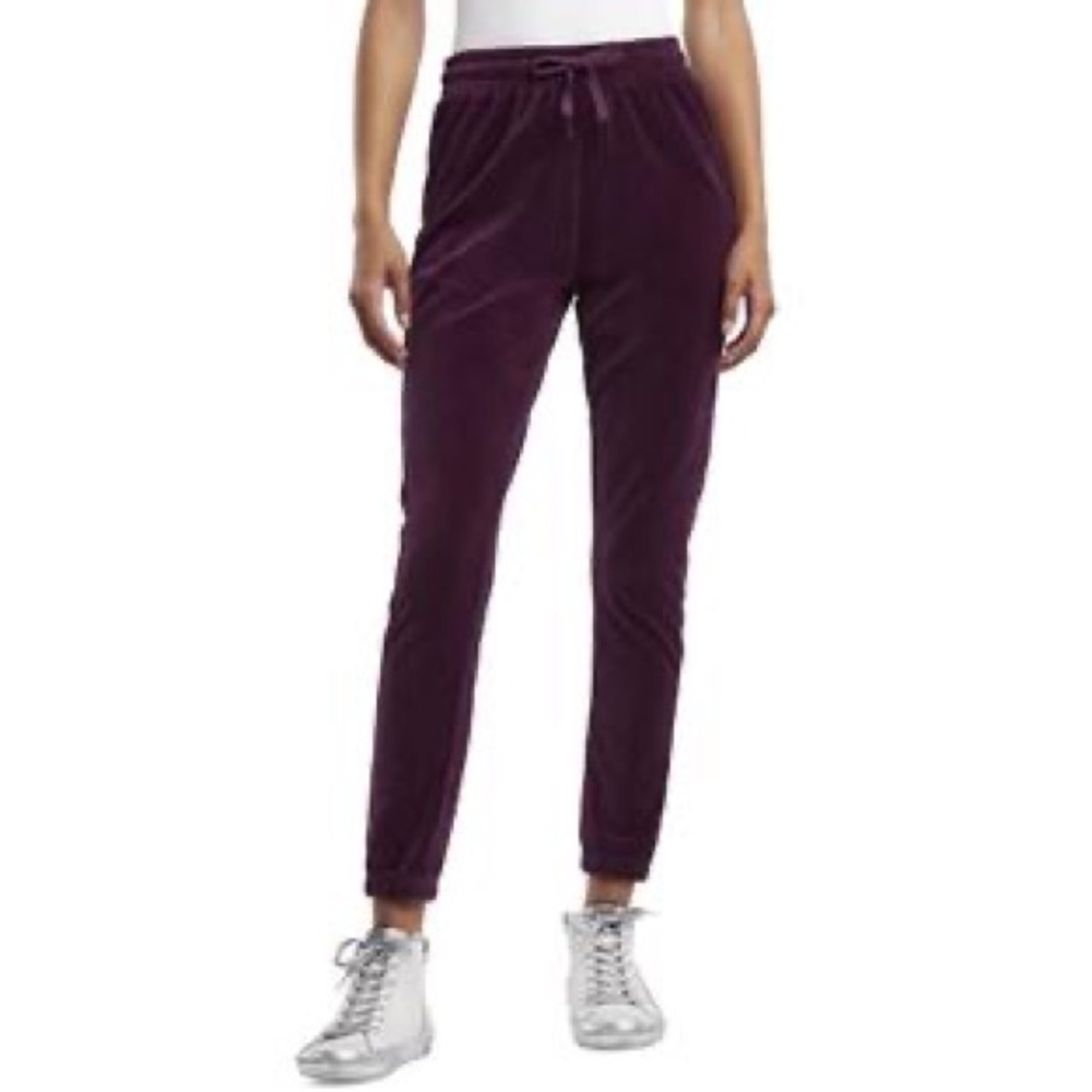 Splendid Purple Velour Jogger Cinched Ankle Pants